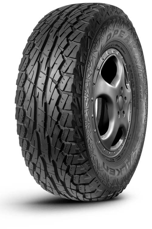 Pneu 265/65R17 Dunlop AT25 112S – PneuDrive